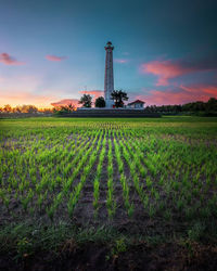 Scenic view of agricultural field against sky during sunset