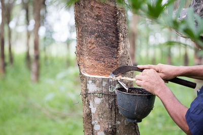 Close-up of hand holding tree trunk