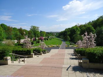 Footpath amidst plants in park against sky