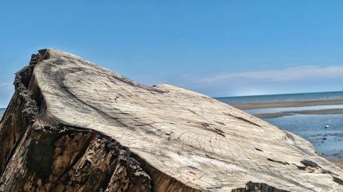 Close-up of driftwood on beach against blue sky