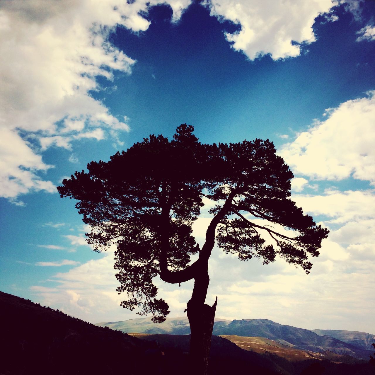 sky, tree, silhouette, tranquility, tranquil scene, cloud - sky, mountain, beauty in nature, nature, cloud, leisure activity, landscape, scenics, standing, lifestyles, full length, low angle view, sunlight