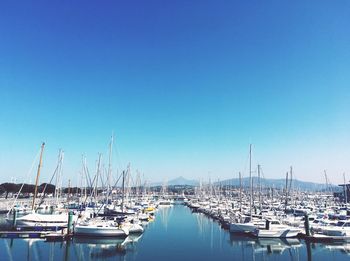 Sailboats in marina