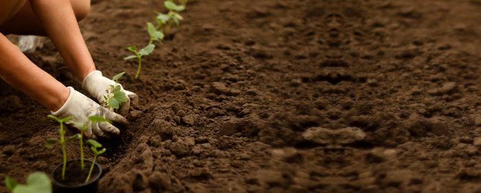 Low section of woman holding hands