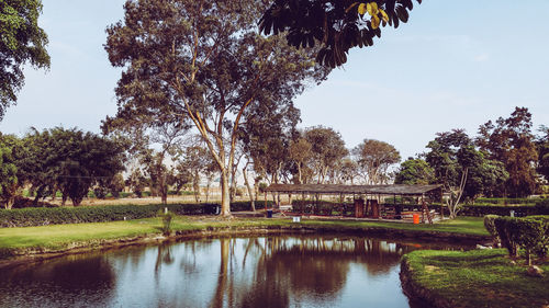 Scenic view of lake in park against sky