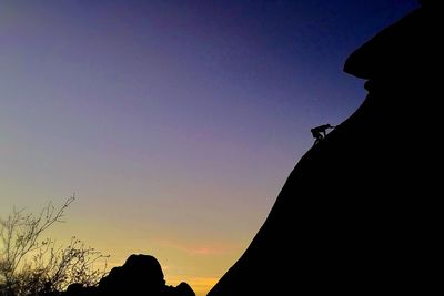 Low angle view of silhouette trees against clear sky