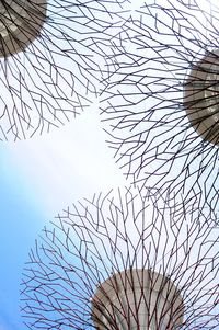 Low angle view of branch against sky