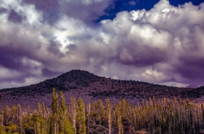 Scenic view of field against cloudy sky