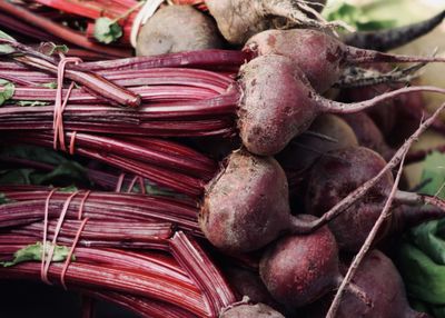 Close-up of red chili peppers