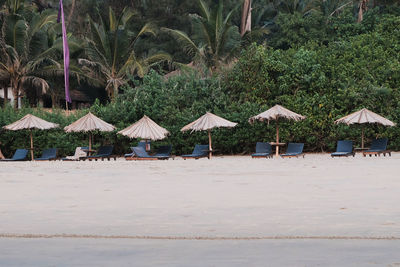 Goan sun loungers on the beach against the palms 