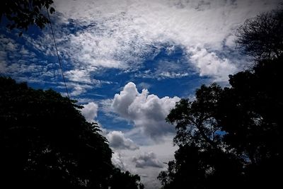 Low angle view of silhouette trees against sky