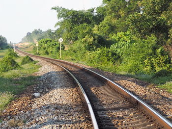 Railroad track amidst trees against sky