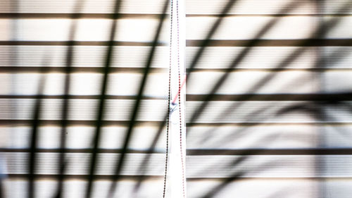 Full frame shot of patterned wall