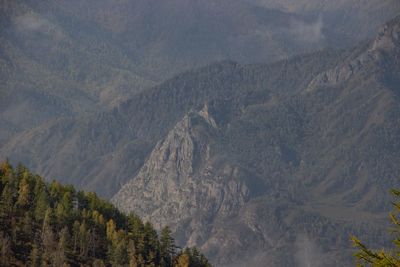 High angle view of trees and mountains