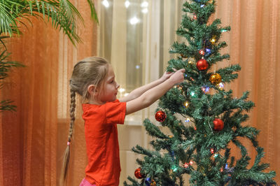 Full length of christmas tree on plant