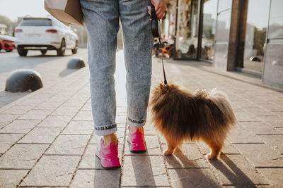 Woman with dog walking on sidewalk at sunset