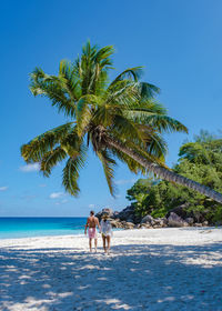 People at beach against clear blue sky