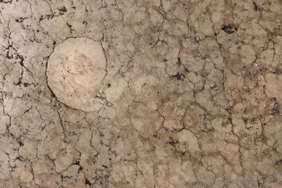 Full frame shot of cracked surface