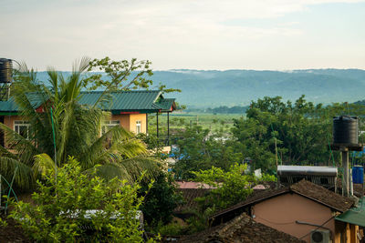 Jungle view from a rooftop. nepal, chitwan