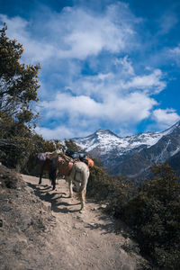 People walking on snowcapped mountain against sky