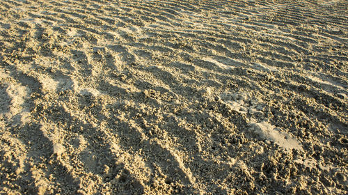 High angle view of footprints on beach