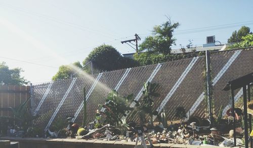 Plants growing by fence against sky on sunny day