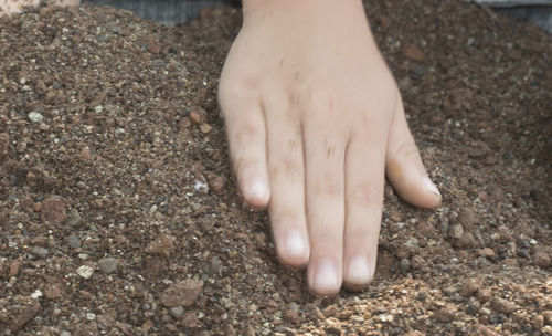 Low section of person legs on mud