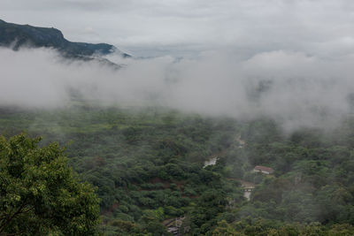 Scenic view of foggy weather