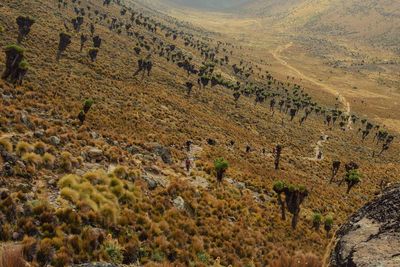 High angle view of land