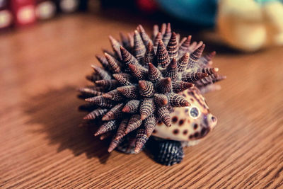 Hedgehog from shells