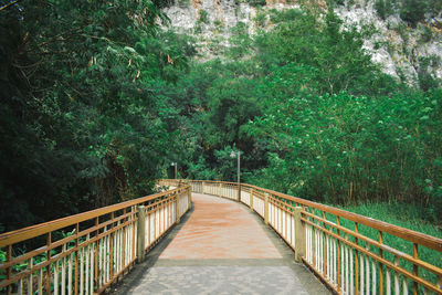 Footbridge in forest