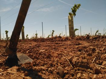 View of shovel in soil