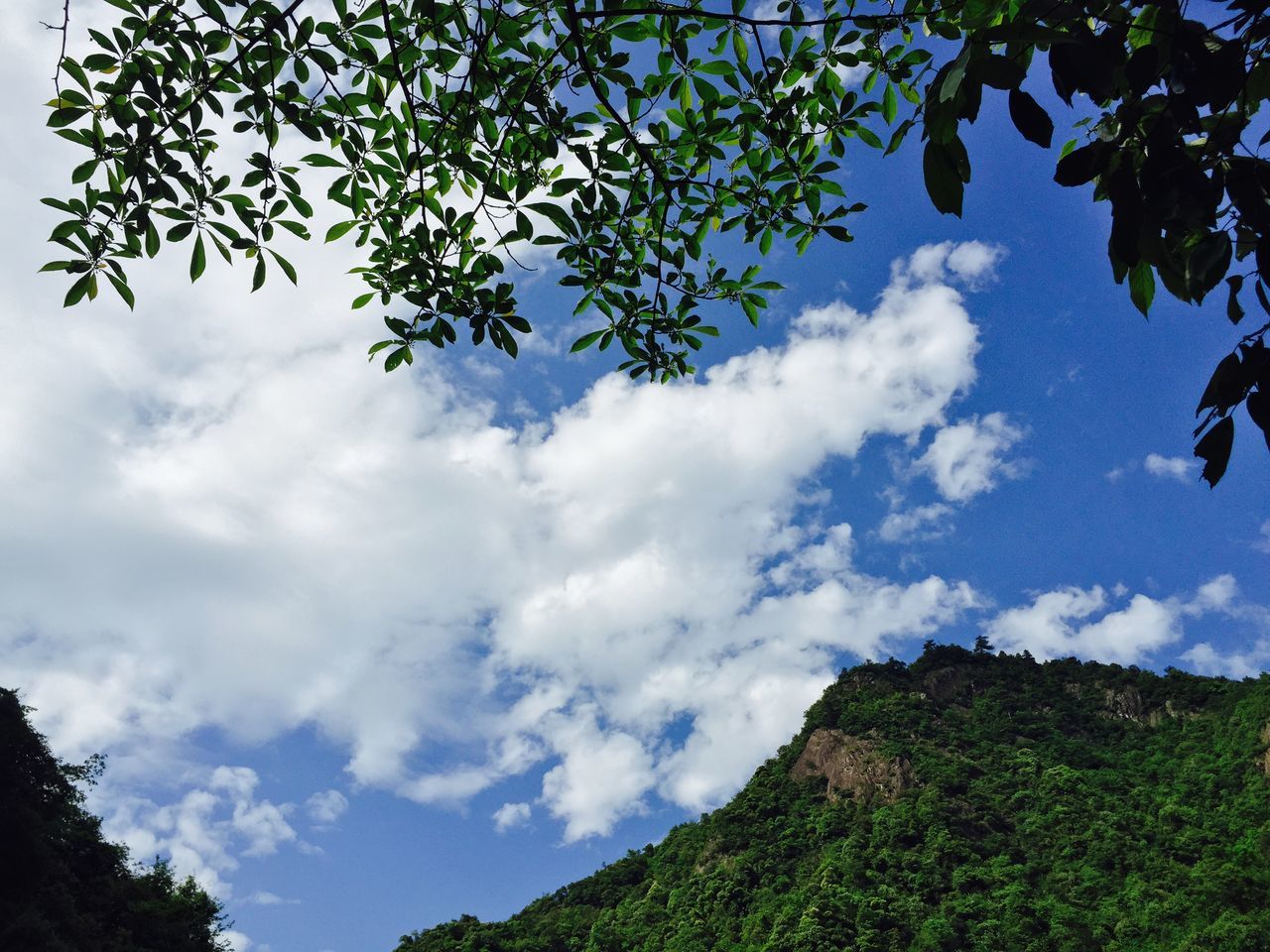 千佛山风景区