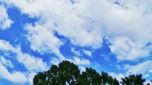 Low angle view of tree against blue sky