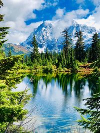 Scenic view of lake by trees against sky