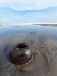 Scenic view of empty coconut on sand beach against sea and sky