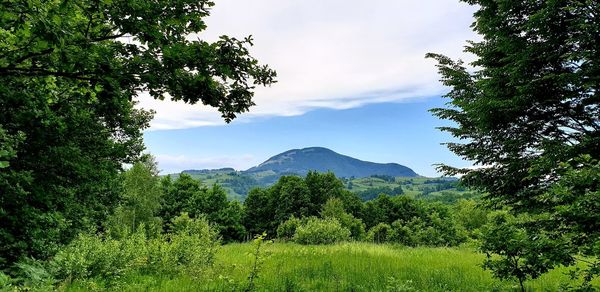 Scenic view of trees and mountains against sky