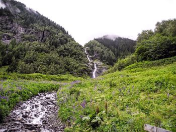 Scenic view of waterfall in forest against sky