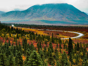 Scenic view of trees growing on field against mountain