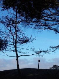 Low angle view of bare trees against sky