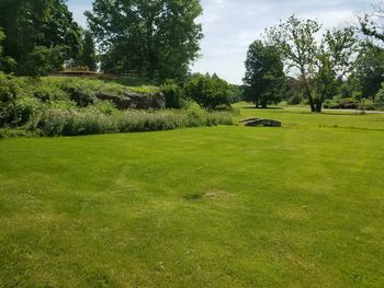 Scenic view of golf course