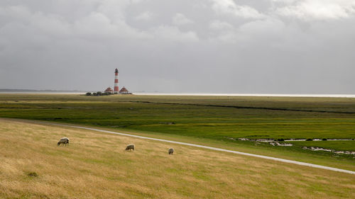 Scenic view of farm against sky