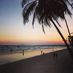 Silhouette palm trees on beach against sky during sunset