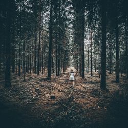 Rear view of young woman walking at forest