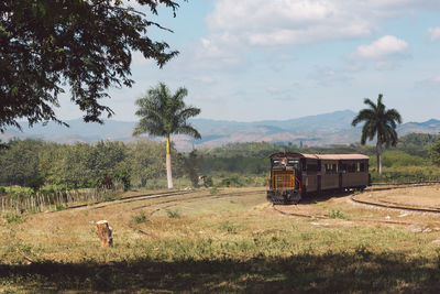 Train on field against sky