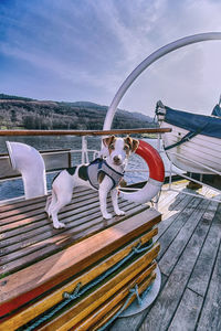 Man on boat moored by sea against sky