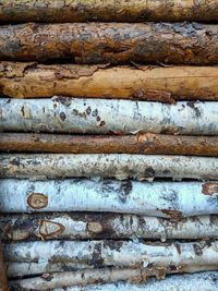 Full frame shot of old wooden log