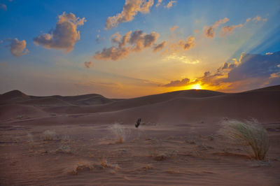 Scenic view of desert against sky during sunset