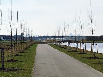 Panoramic shot of row against sky