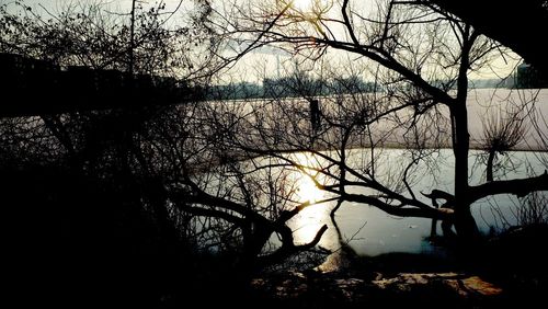 Silhouette bare tree by lake against sky