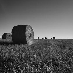 Hay bales on field